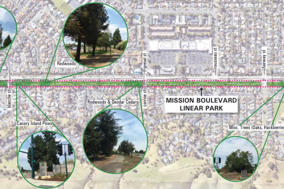 Map showing Mission Boulevard Linear Park in Hayward, California and bubbles highlighting types of trees along park area.